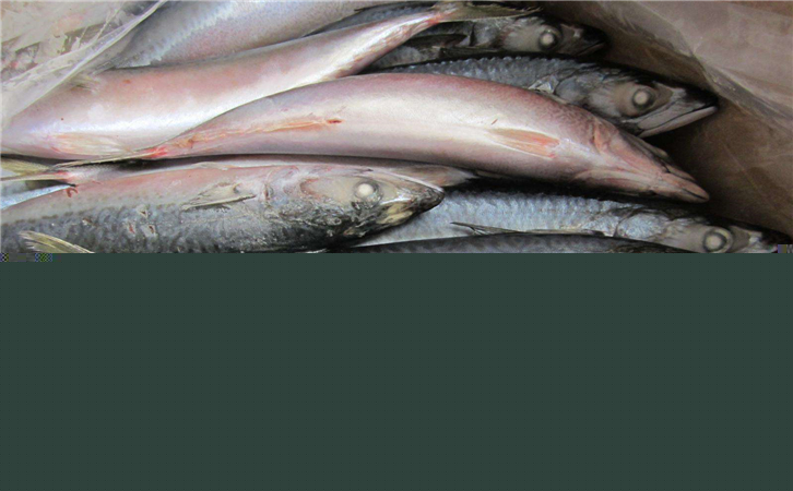 俄羅斯水產(chǎn)品進(jìn)口報(bào)關(guān)代理公司 俄羅斯水產(chǎn)品進(jìn)口報(bào)關(guān)